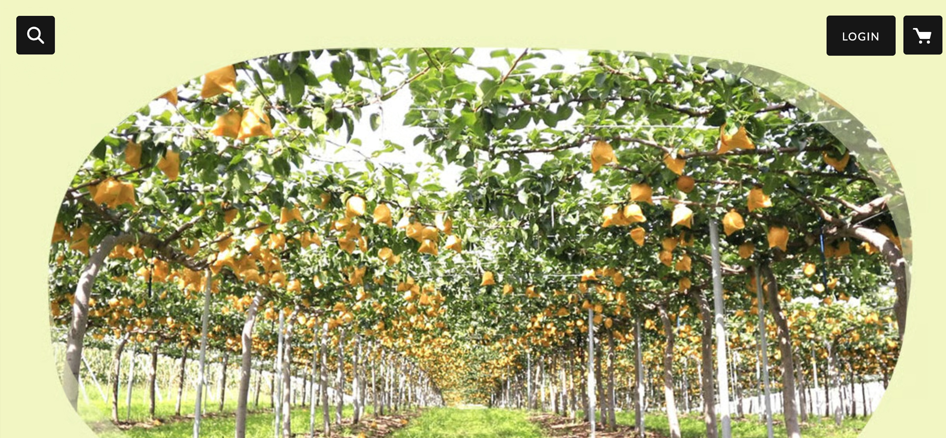 大石果樹園様HPのファーストビュー